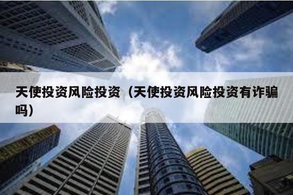 天使投資風險投資(天使投資風險投資有詐騙嗎)