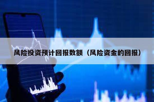 風險投資預計回報數額(風險資金的回報)
