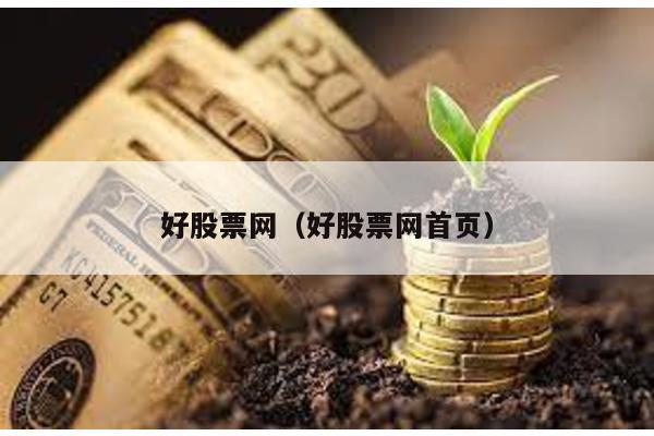 好股票網(wǎng)(好股票網(wǎng)首頁)