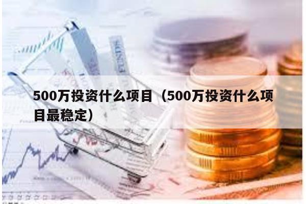 500萬投資什么項目(500萬投資什么項目最穩(wěn)定)