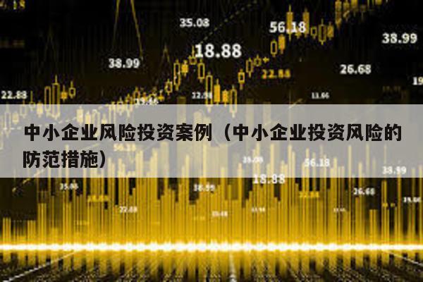 中小企業(yè)風(fēng)險(xiǎn)投資案例(中小企業(yè)投資風(fēng)險(xiǎn)的防范措施)
