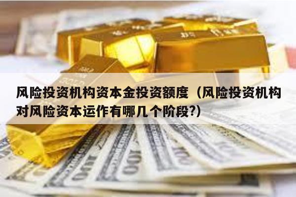 風險投資機構資本金投資額度(風險投資機構對風險資本運作有哪幾個階段?)