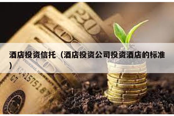 酒店投資信托(酒店投資公司投資酒店的標準)