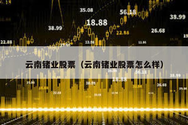 云南鍺業(yè)股票(云南鍺業(yè)股票怎么樣)