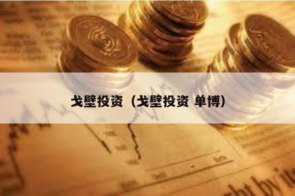 戈壁投資(戈壁投資 單博)