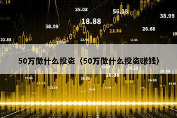 50萬做什么投資(50萬做什么投資賺錢)