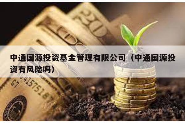 中通國源投資基金管理有限公司(中通國源投資有風險嗎)