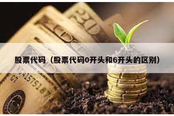 股票代碼(股票代碼0開頭和6開頭的區(qū)別)