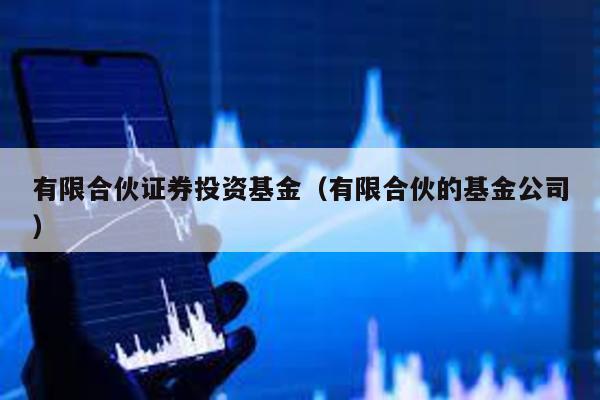 有限合伙證券投資基金(有限合伙的基金公司)
