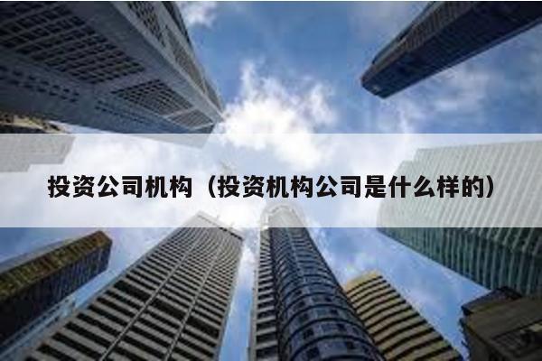 投資公司機構(gòu)(投資機構(gòu)公司是什么樣的)